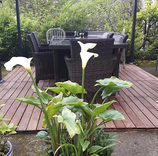 Muriances Pensión Vilde